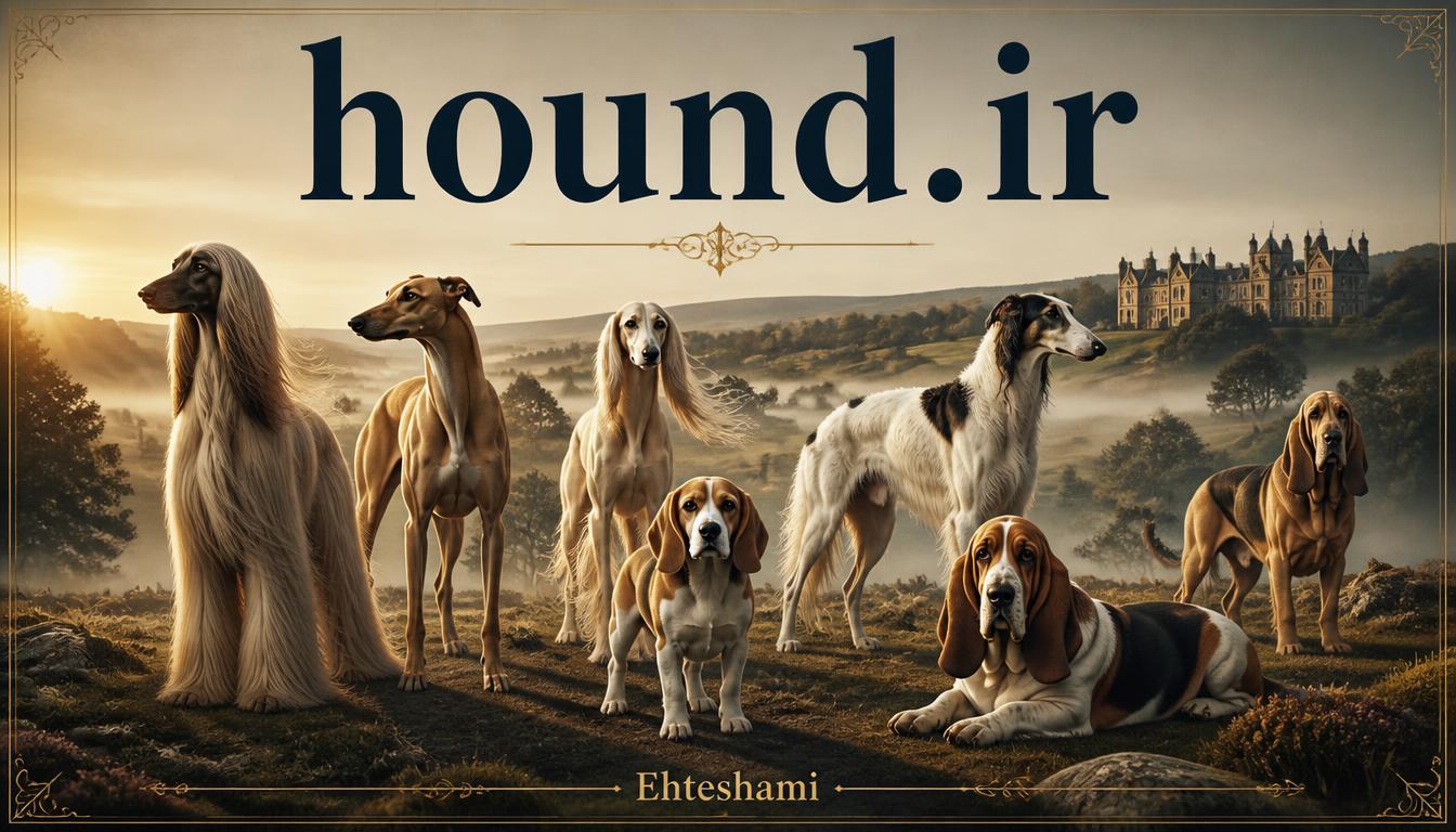 hound.ir